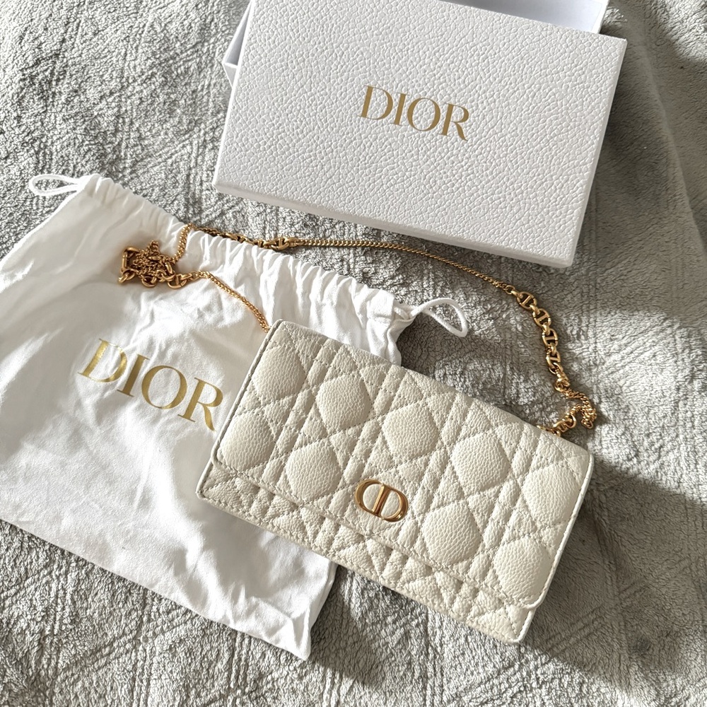 Dior caro pouch